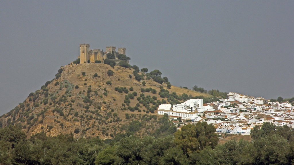 Castle Above Whitewashed Town